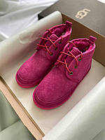 Женские ботинки UGG Neumel Suede Neon Pink 10301 36