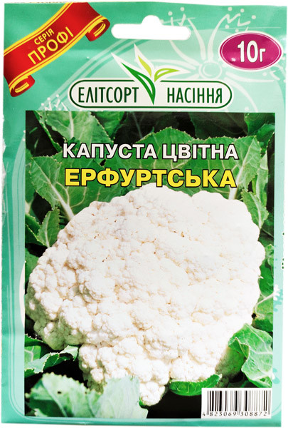 Насіння цвітної капусти Ерфуртська 10 г середньорання