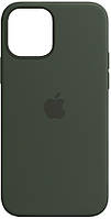 Силиконовый чехол iPhone 12/12 Pro Silicone Case Cyprus Green