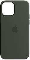 Силиконовый чехол iPhone 12 Mini Apple Silicone Case Cyprus Green