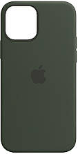 Силіконовий чохол для iPhone 12 Mini Apple Silicone Case Cyprus Green