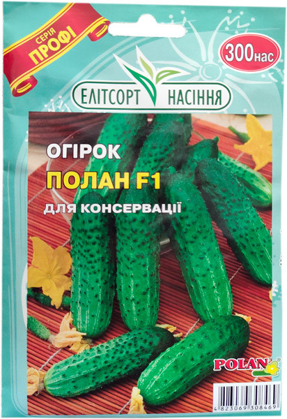 Насіння огірків Полан F1 300 насінин середньоранній, фото 1