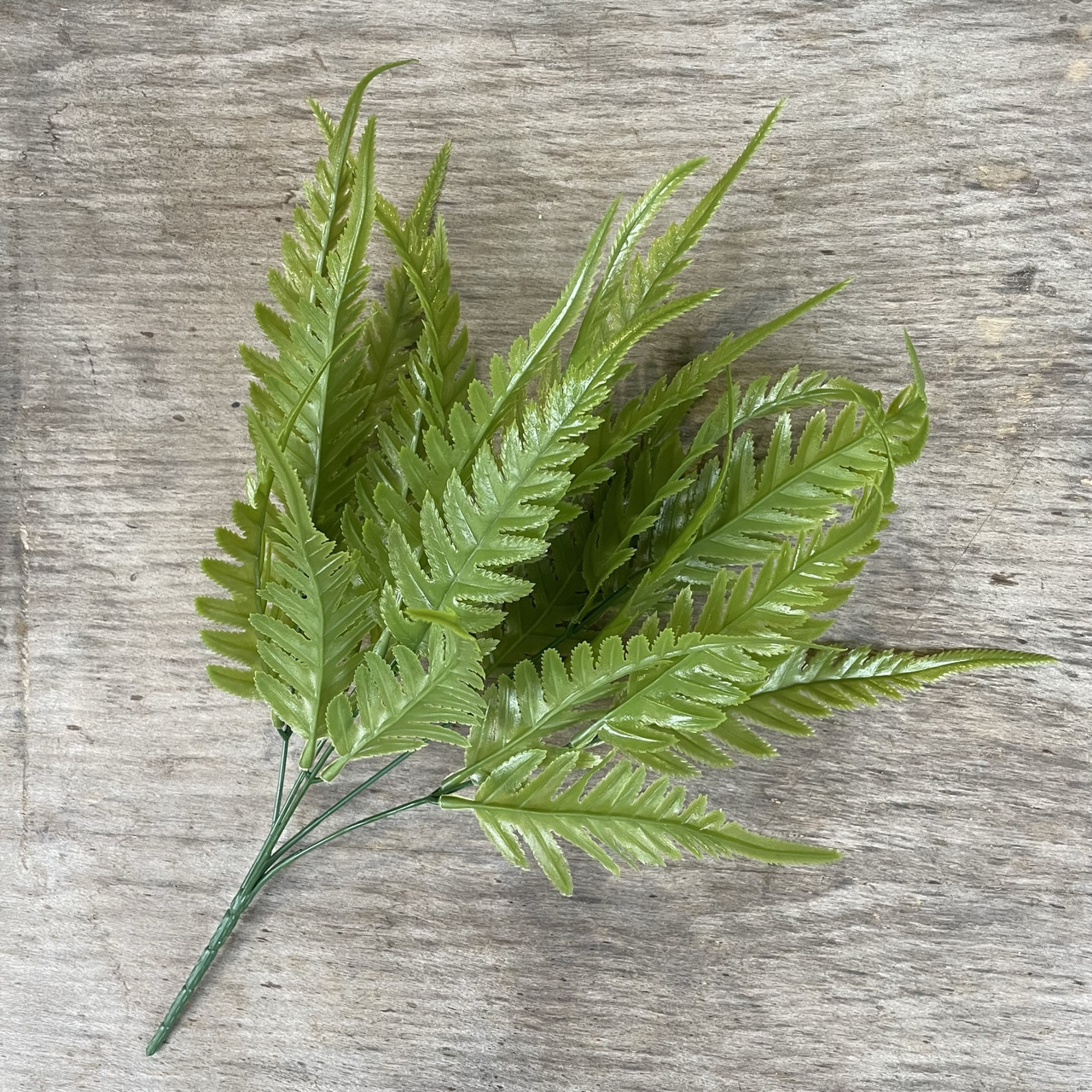 Букет пластик папороті 40 см, фото 1