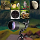 Кутовий телескоп зі штативом водонепроникний 20-60x80 Spotting Scope BAK4, фото 3