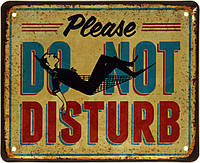 Металлическая табличка / постер "Пожалуйста, Не Беспокойте / Please Do Not Disturb" 22x18см (ms-103627)