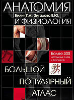 Анатомія та фізіологія. Великий популярний атлас Біметал Г.Л. 2017г.