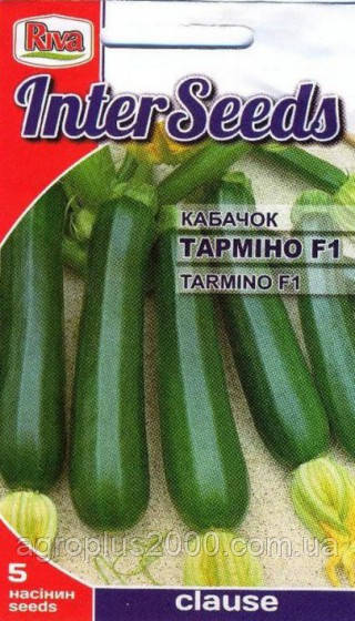 Насіння Кабачок Тарміно F1 5 насінин Clause Inter Seeds Riva