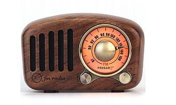 Портативне ретро кухонне Feegar Retro Wood FM BT SD 10h, фото 5