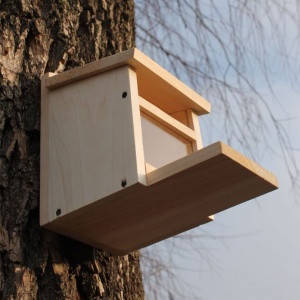 Годівниця для білки (8006)