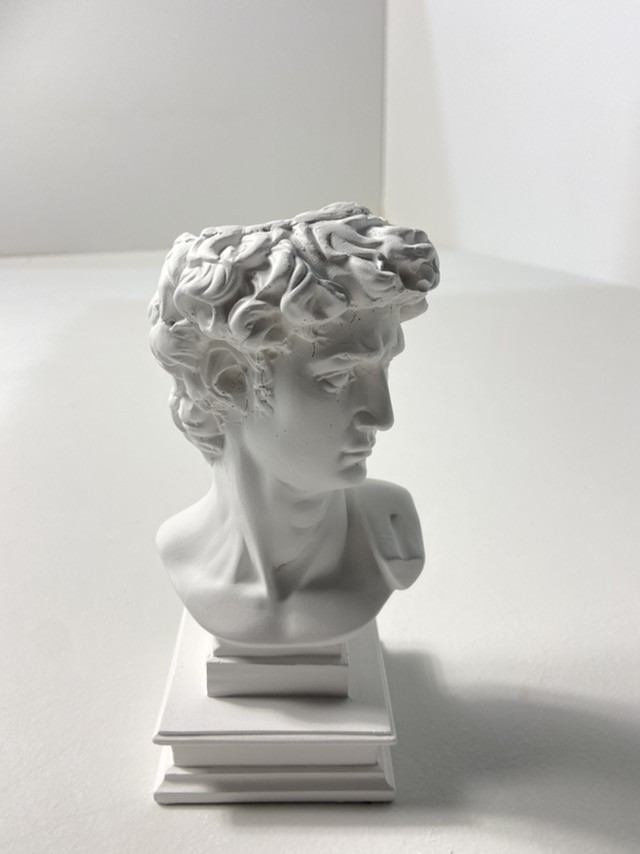 Гіпсова скульптура Gipster Голова Давида 180*90 мм White