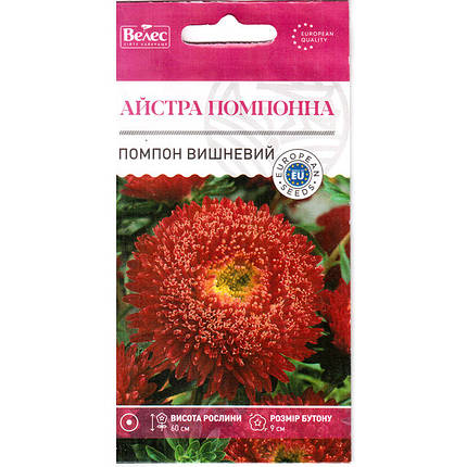 Насіння айстри "Помпон вишневий" (0,3 г) від ТМ "Велес", фото 1