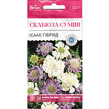 Насіння скабіози "Ісаак Гібрид" (0,1 г) від ТМ "Велес"