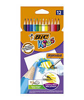 Карандаши цветные акварельные 12 цветов, BIC Evolution Aquacouleur