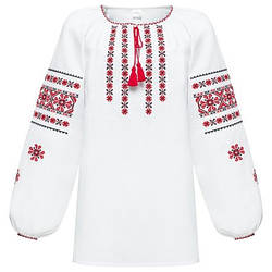 Вишита блузка Ромашка