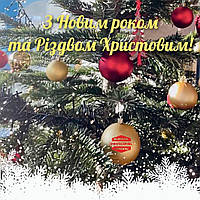 З Новим роком та Різдвом Христовим!