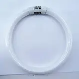 Змінна лампа кільце Т5 газосветная 22вт для лампи лупи, фото 2