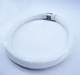 Змінна лампа кільце Т5 газосветная 22вт для лампи лупи, фото 3