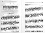 Любить не страшно Луговая Полина, фото 6