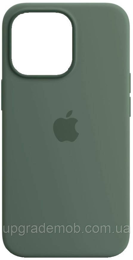 Силіконовий чохол iPhone 13 Pro Apple Silicone Case with MagSafe — Eucalyptus, фото 1