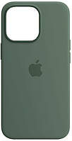 Силиконовый чехол iPhone 13 Pro Max Apple Silicone Case with MagSafe (анимация) - Eucalyptus