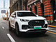 Комплект викрійок для салону CHERY TIGGO 8 PRO MAX 2022, фото 5
