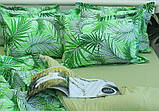 Постільна білизна Євро з турецького ранфорсу ТМ TAG, бавовна з компаньйоном R-T9247, фото 2