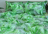 Постільна білизна Євро з турецького ранфорсу ТМ TAG, бавовна з компаньйоном R-T9247, фото 3