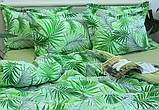 Постільна білизна Євро з турецького ранфорсу ТМ TAG, бавовна з компаньйоном R-T9247, фото 4