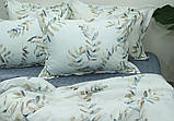 Постільна білизна Євро з турецького ранфорсу ТМ TAG, бавовна з компаньйоном R-T9258, фото 4