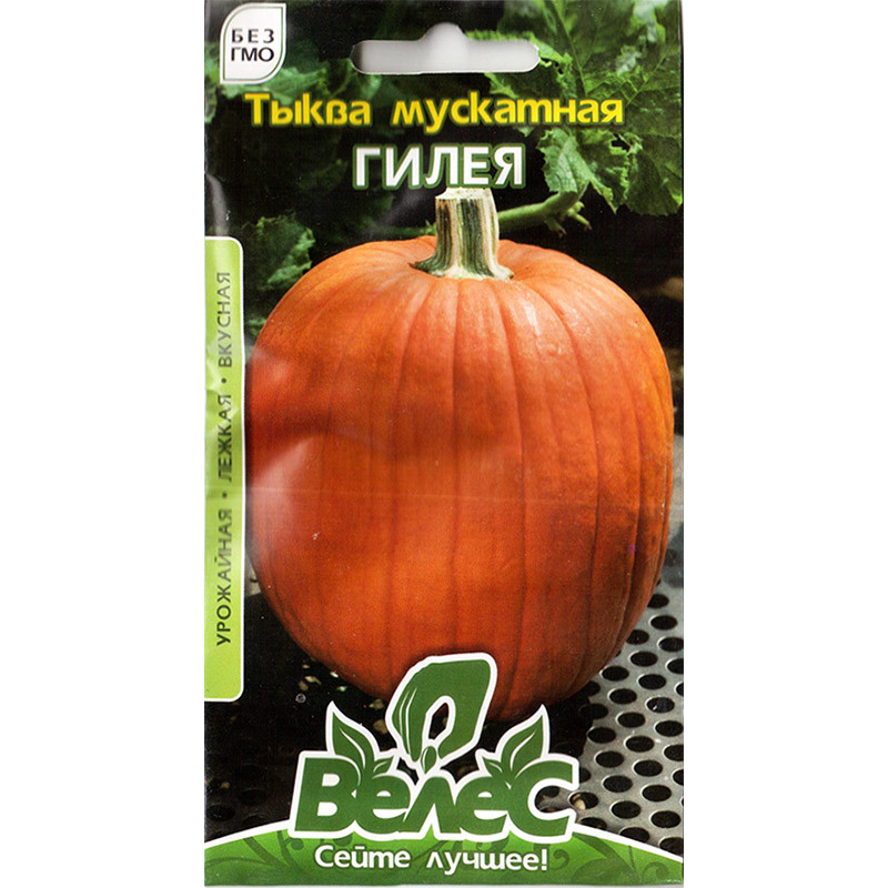 Насіння мускатного гарбуза "Гілея" (2 г) від ТМ "Велес"