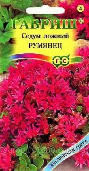 Семена Седум (очиток) Рум'янець 0,01 грама Гавриш