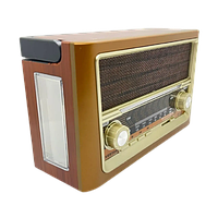 Портативний радіоприймач Everton RT-321з ліхтариком, Bluetooth FM USB SD