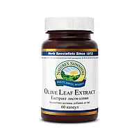 Экстракт листьев Оливы Olive leaf extract, NSP, США K.204NSP