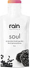 Клітинне живлення Rain Soul (Рейн Соул) 1 пакетик — Rain Intl.