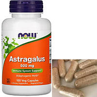 Астрагала корінь NOW foods Astragalus 500 mg 100 вег капс