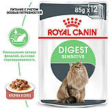 Вологий корм Royal Canin DIGEST SENSITIVE для дорослих кішок з чутливим травленням 85 г (9003579309537), фото 3