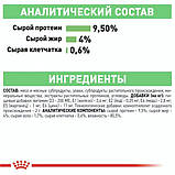 Вологий корм Royal Canin DIGEST SENSITIVE для дорослих кішок з чутливим травленням 85 г (9003579309537), фото 5