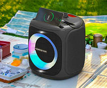 Портативна Bluetooth-колонка Hopestar Party 100 mini Black, фото 6