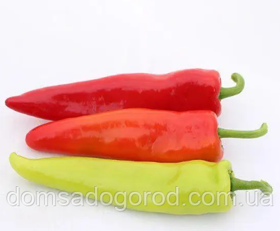 Перець гіркий Кампай F1 / KAMPAI F1 Kitano Seeds