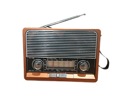 Портативний радіоприймач Everton RT-306 FM/AM/SW/Bluetooth/USB з ліхтариком, Bluetooth FM USB SD
