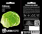 Салат Робінсон, тип Айсберг, 30 шт (Leda Agro), фото 2