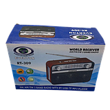 Портативний радіоприймач Everton RT-309 FM/AM/SW/Bluetooth/USB з ліхтариком, Bluetooth FM USB SD, фото 5