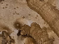 Античный воск, коричневый, Antikwachs, баночка - 2 мл, (около 3 г), Borma Wachs, Италия