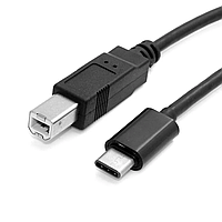 Роз'єм USB 2.0 Type-C™ довжиною 2 м - роз'єм Standard-B