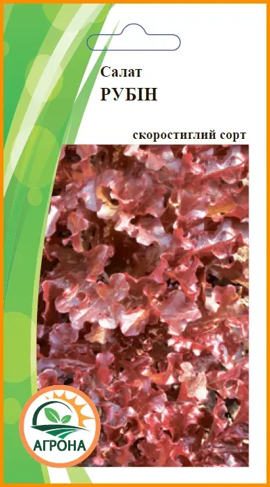 Салат РУБІН 0,5 г Агрона