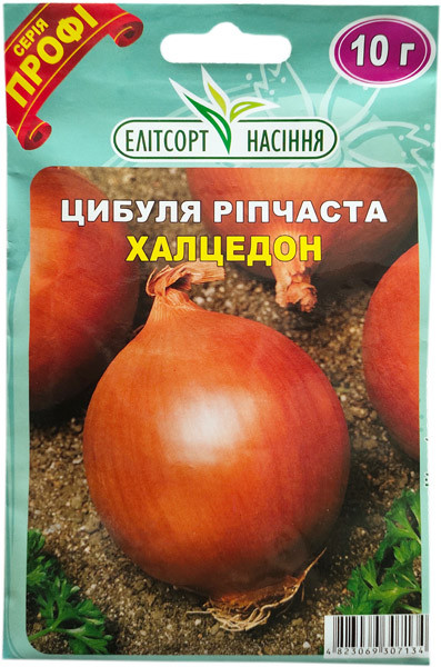 Насіння цибулі Халцедон 10 г середньостиглий, фото 1