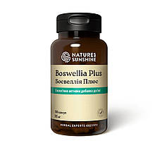 Босвелия Плюс (Boswellia Plus) NSP - при запальних захворюваннях.