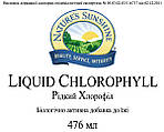 Рідкий Хлорофіл рідкий (Chlorophyll liquid) NSP - для підвищення гемоглобіну при анемії., фото 2