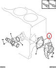 Водяна помпа на Fiat Ducato 244, Peugeot Boxer, Citroen Jumper (2002-2006) 2.0і, 9566945688, 120191, фото 7
