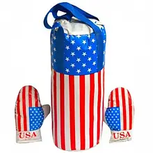 Дитячий боксерський набір Danko Toys L-USA Америка великий з рукавичками